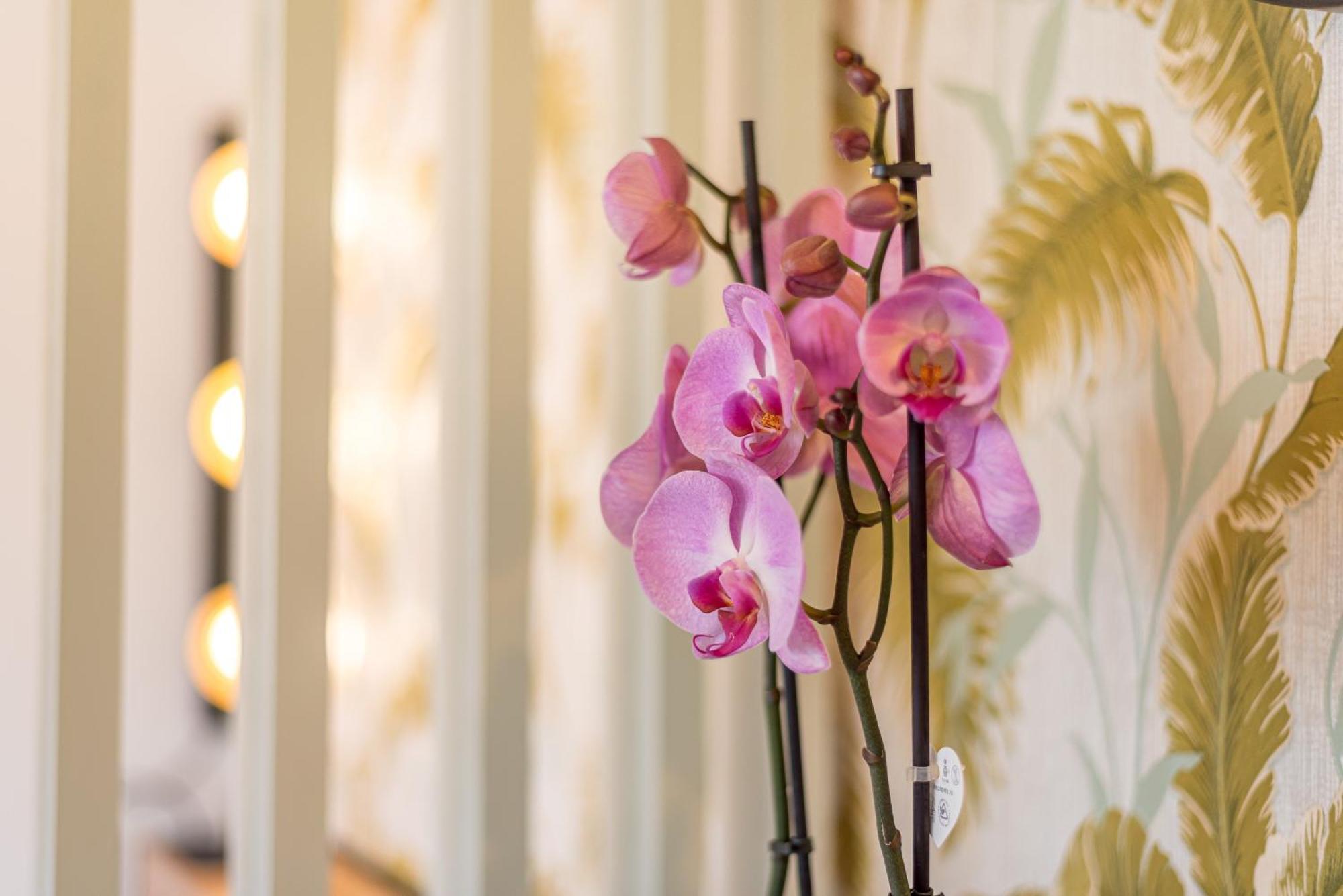 Urban Luxe Studio Torremoilinos Torremolinos Extérieur photo